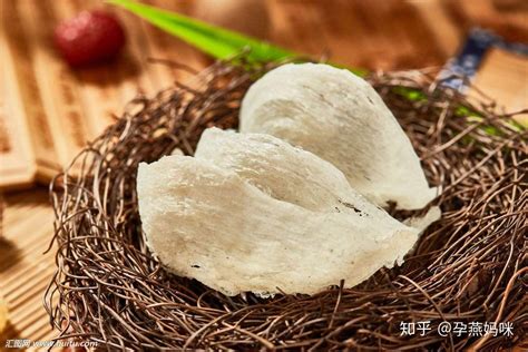 燕子的窝|燕窝（传统食品）